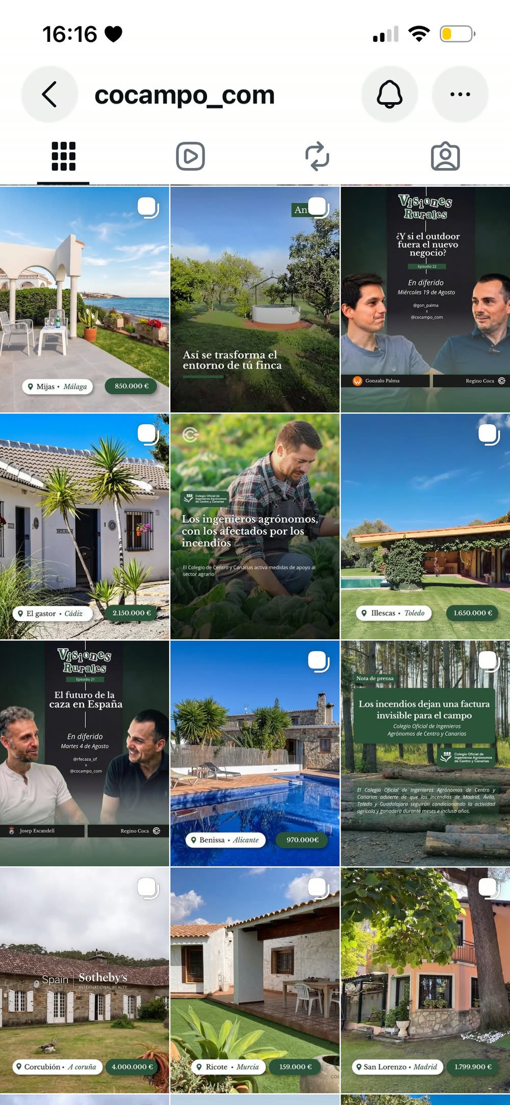 Feed de Instagram de Cocampo después del rediseño