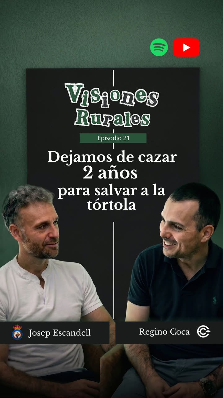 Clip: dejamos de cazar 2 años para salvar a la tórtola